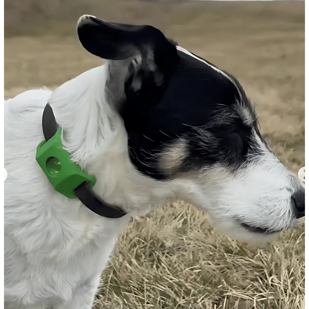 DogCatFri™ Anti-FleaPendant 1+1 GRATIS: Anti-Flått- Og Loppe-Anheng Beskyttelse