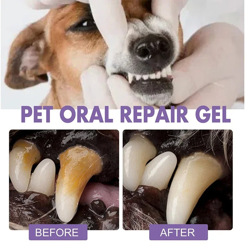 DogCatFri™ DentalPet: Kjæledyr Dental reparasjon og rengjøringsgel