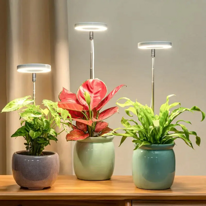 Ledsen™ PlantLamp: Justerbar Innendørs LED Vekst Lys Plante Lampe