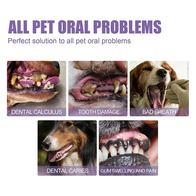 DogCatFri™ DentalPet: Kjæledyr Dental reparasjon og rengjøringsgel