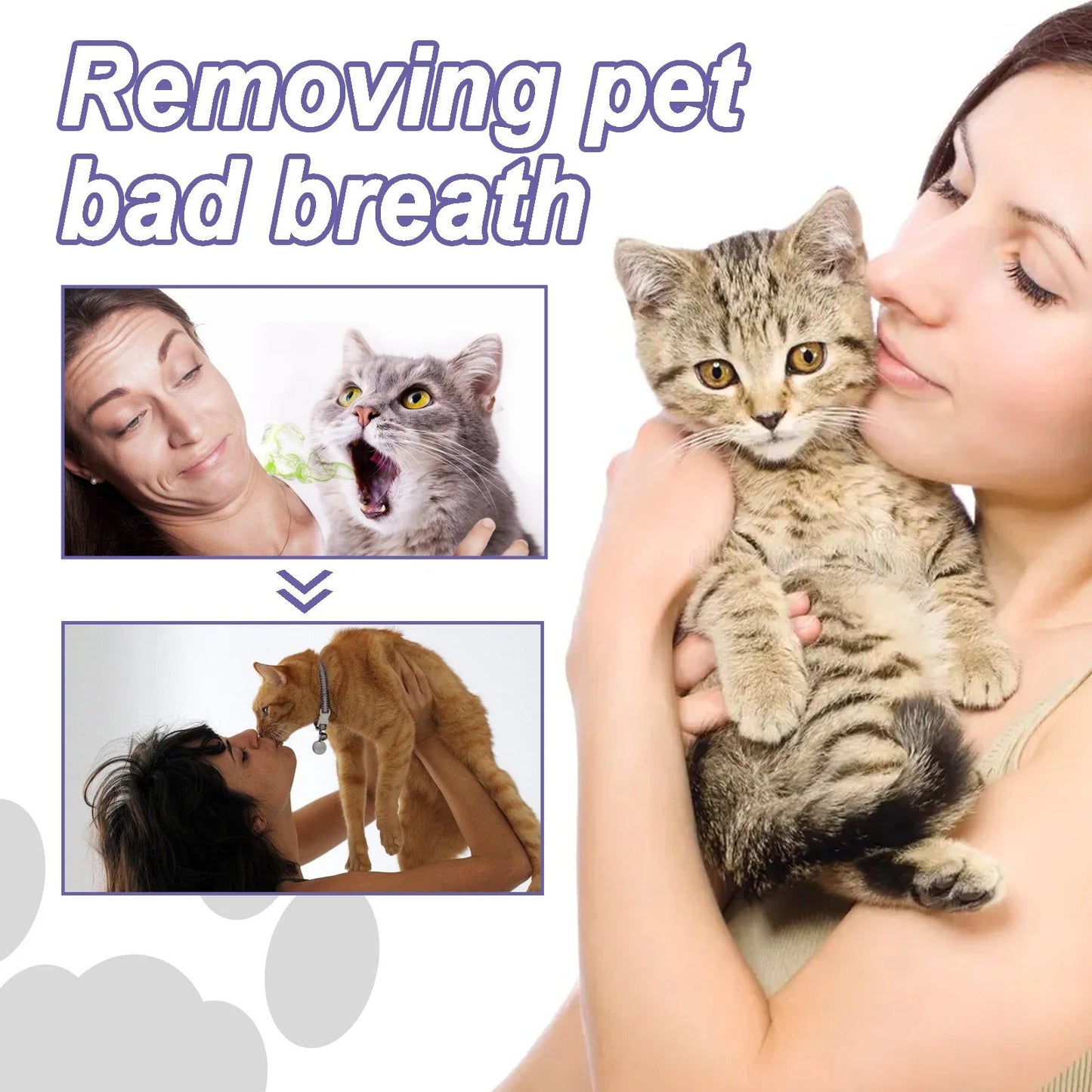 DogCatFri™ DentalPet: Kjæledyr Dental reparasjon og rengjøringsgel