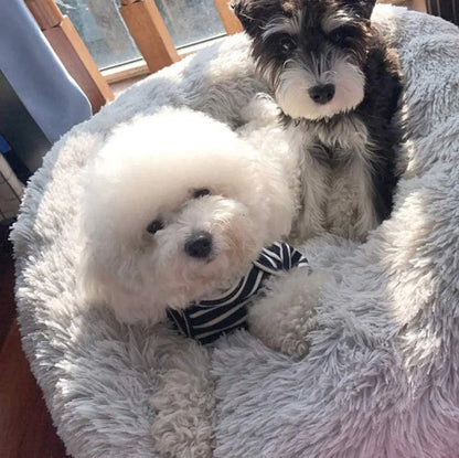 DogCatFri™ FurryBed: Komfortabel og Beroligende Seng til Kjæledyr