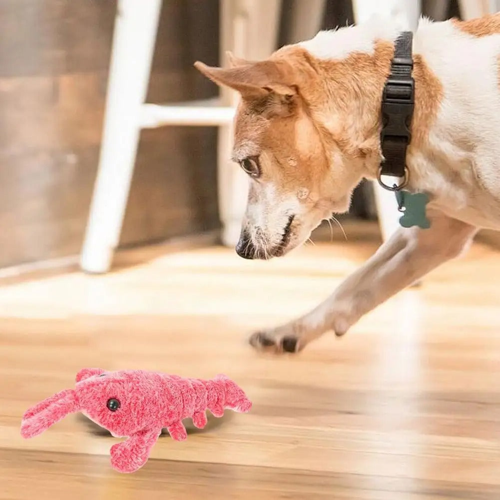 DogCatFri™ PlushToy - Interaktivt Plysjleketøy Til Kjæledyr