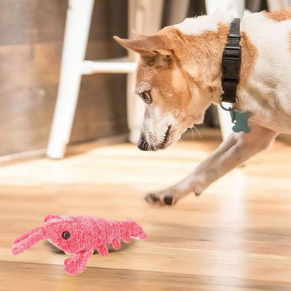 DogCatFri™ PlushToy - Interaktivt Plysjleketøy Til Kjæledyr
