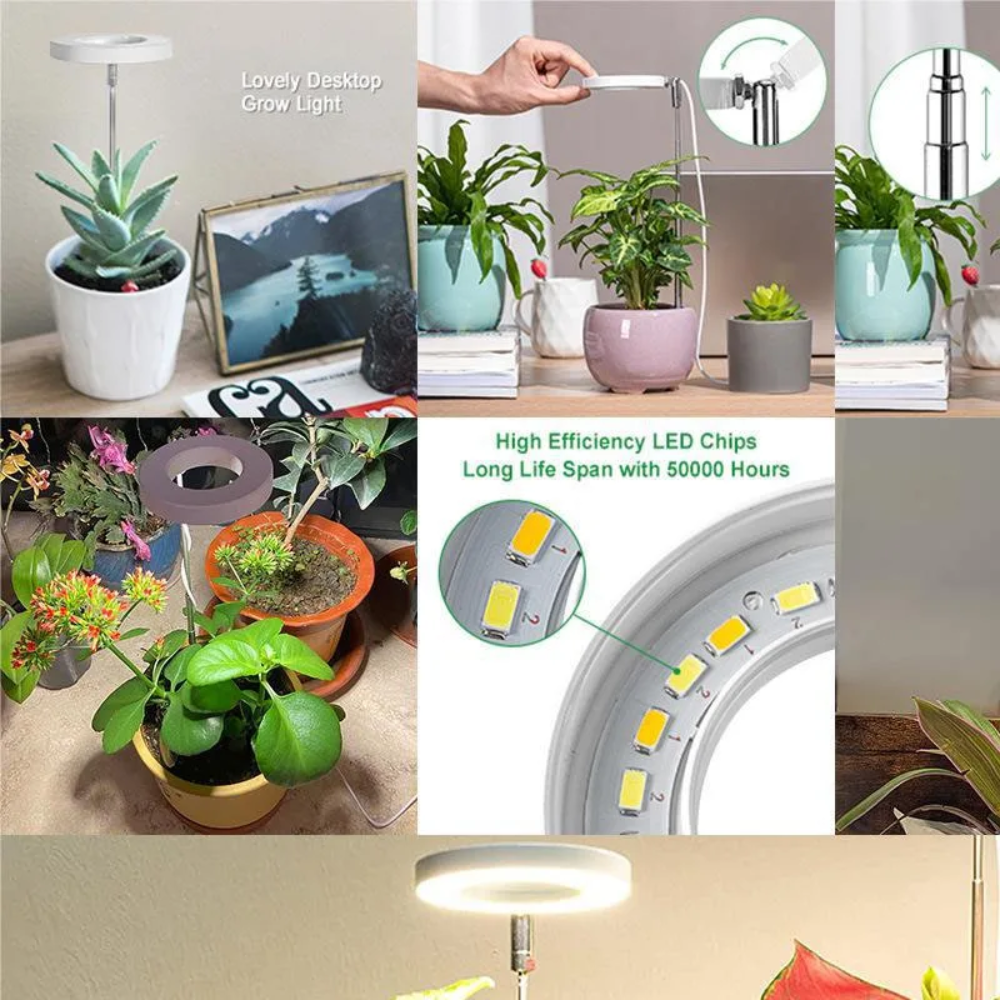 Ledsen™ PlantLamp: Justerbar Innendørs LED Vekst Lys Plante Lampe