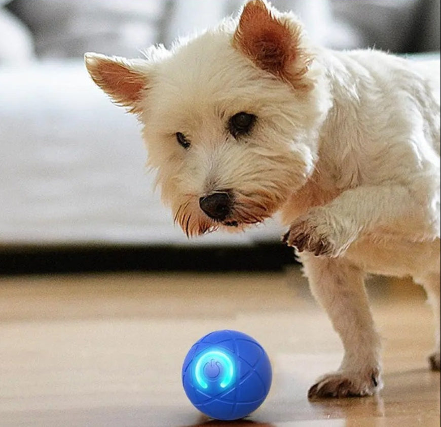 DogCatFri™ InteractiveBall: Oppladbar Interaktiv Kjæledyr Leketøyball