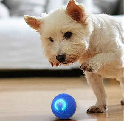 DogCatFri™ InteractiveBall: Oppladbar Interaktiv Kjæledyr Leketøyball