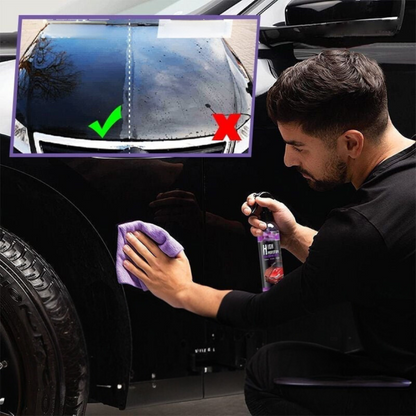 CarSpray: 3-i-1 Rask Bilbeleggspray