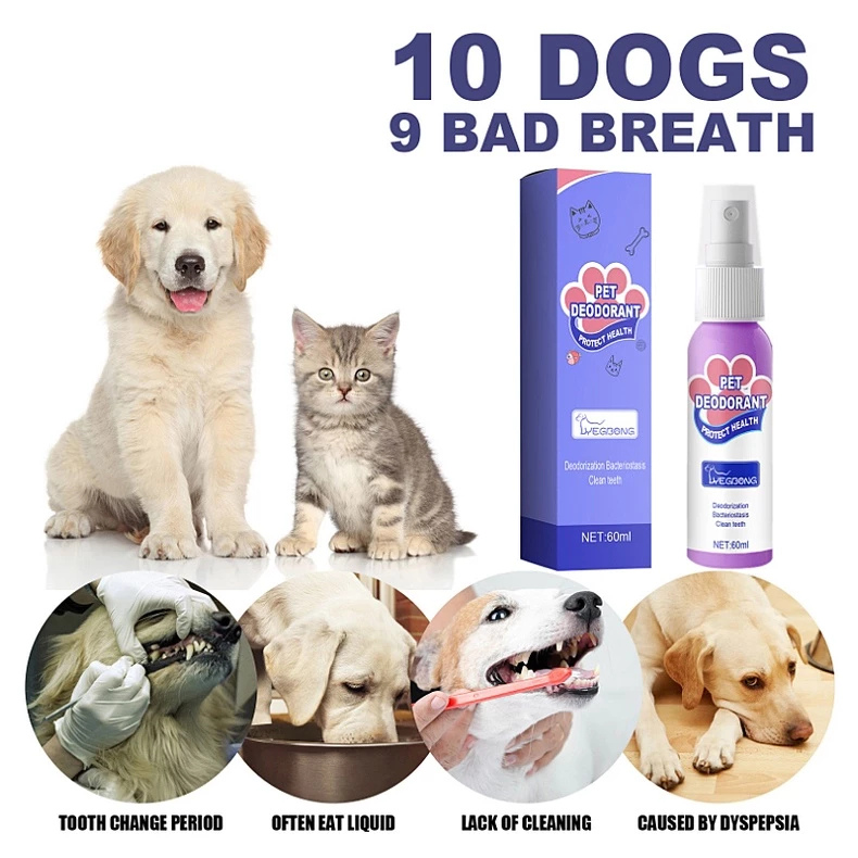 DogCatFri™ PetSpray: Kjæledyr Åndedrettsfrisker Spray