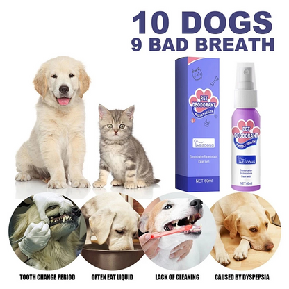 DogCatFri™ PetSpray: Kjæledyr Åndedrettsfrisker Spray