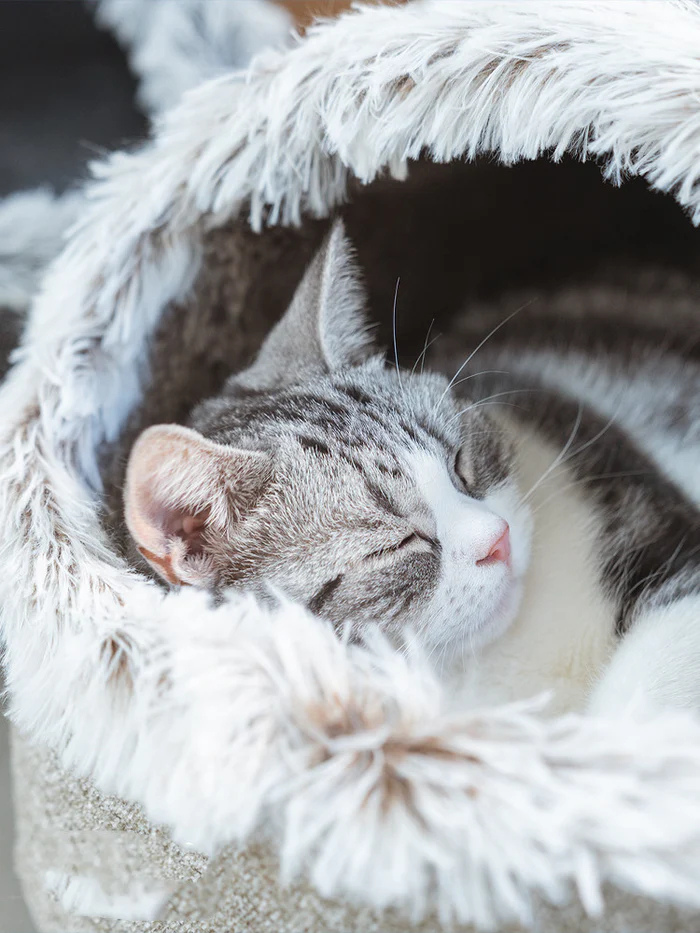Catfri® CozyCat: Varm Og Koselig Rede For Katter