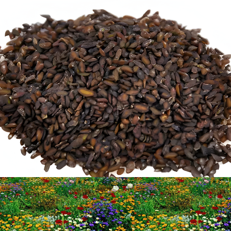 GardenSeeds - Let At Dyrke Blandet Blomsterhave Variation Farverige Blomsterfrø