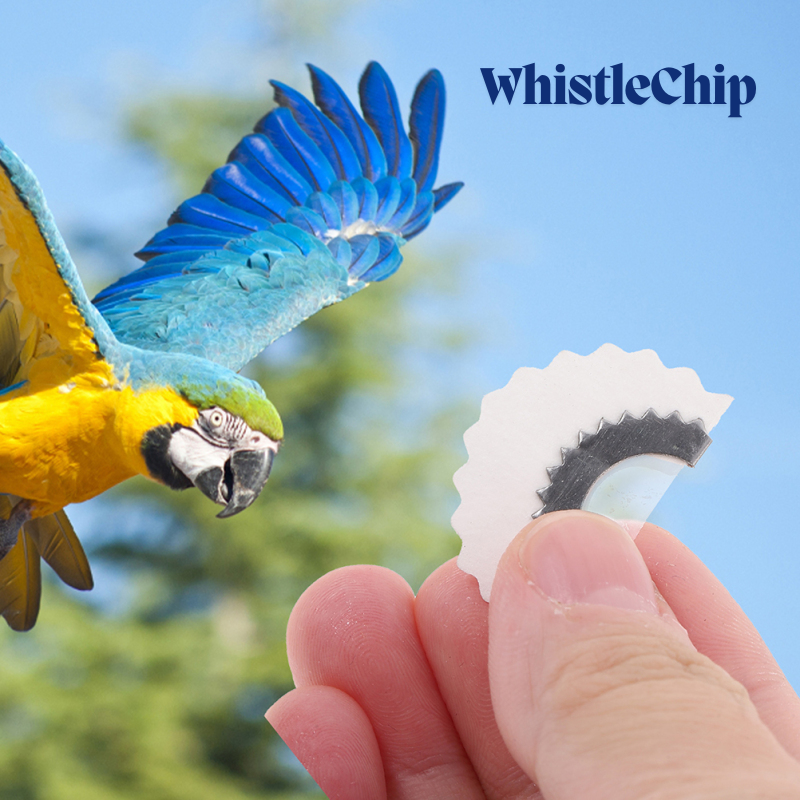 BirdWhistle 1+1 GRATIS – Mini Magisk Fuglekall Fløyte Chip