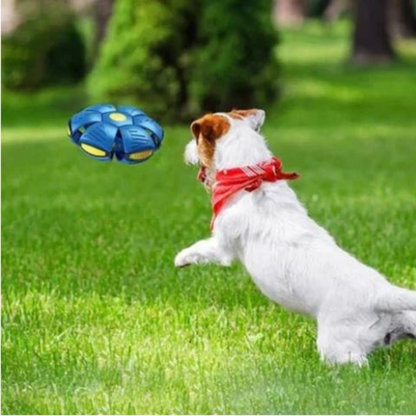 DogFri™ DiscBall 1+1 GRATIS - Doggy Skive Ball Leketøy til Kjæledyr