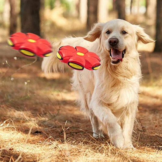 DogFri™ DiscBall 1+1 GRATIS - Doggy Skive Ball Leketøy til Kjæledyr