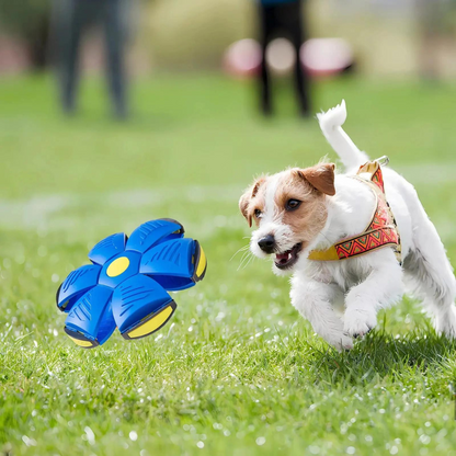 DogFri™ DiscBall 1+1 GRATIS - Doggy Skive Ball Leketøy til Kjæledyr