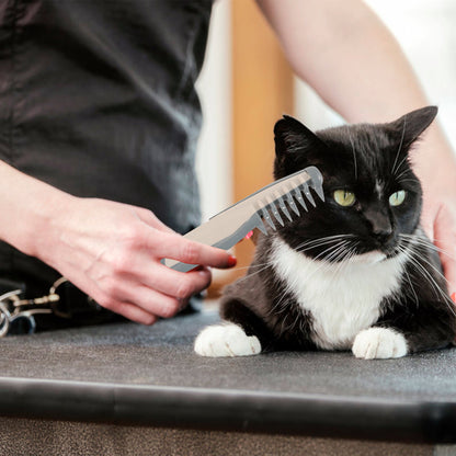 DogCatFri™ PetComb 1+1 FREE: Elektrisk kjæledyrpleiekam
