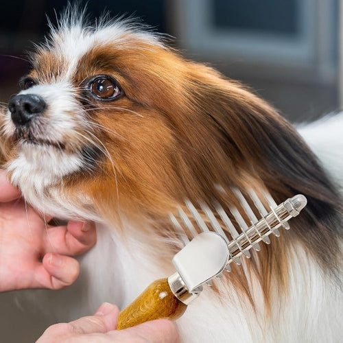 DogCatFri™ DemattingComb 1+1 GRATIS: Pet Serrateret Dematting Rake Kam