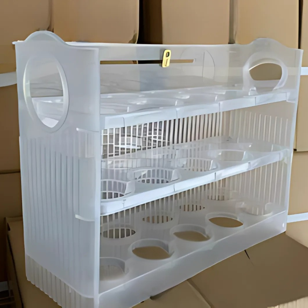 EggBox - Tre Lag Med Selvreturnering Boks For Oppbevaring Av Egg