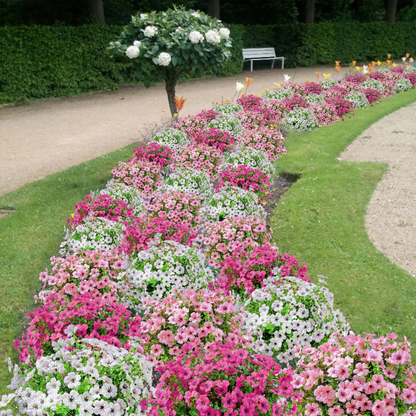 Globetrek° ArtificialFlowers 1+1 GRATIS: Utendørs og Innendørs Kunstige Blomster Planter