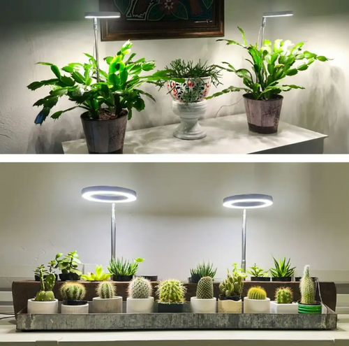 Ledsen™ PlantLamp: Justerbar Innendørs LED Vekst Lys Plante Lampe