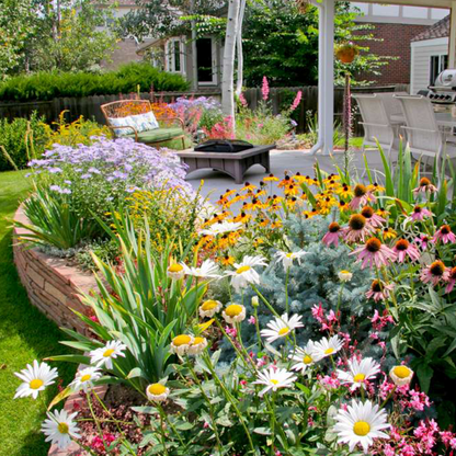 GardenSeeds - Let At Dyrke Blandet Blomsterhave Variation Farverige Blomsterfrø