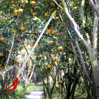 Globetrek° FruitPicker: Lettvekt Slitesterk Godt grep Enkel å bruke Fruktplukkerverktøy
