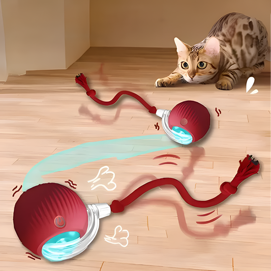 Catfri® CatBall: Automatisk Interaktiv Morsom Kattejaktball