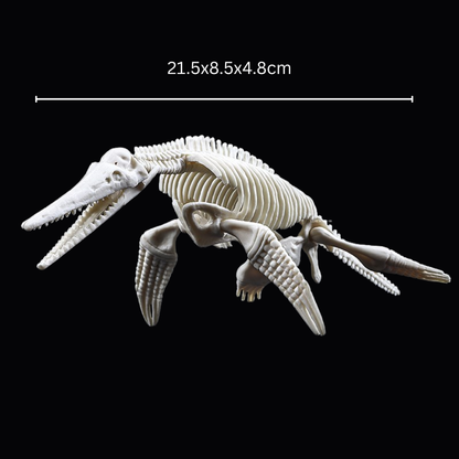 Kletshuts™ SkeletonDinosaur: Pedagogisk Skjelett Dinosaur Fossil Gravesett