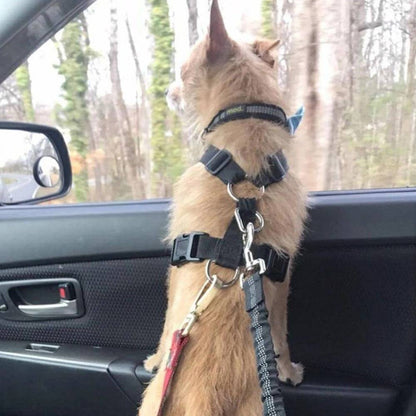 DogFri™ PawGuard 1+1 GRATIS: Hund Bil Setebelte