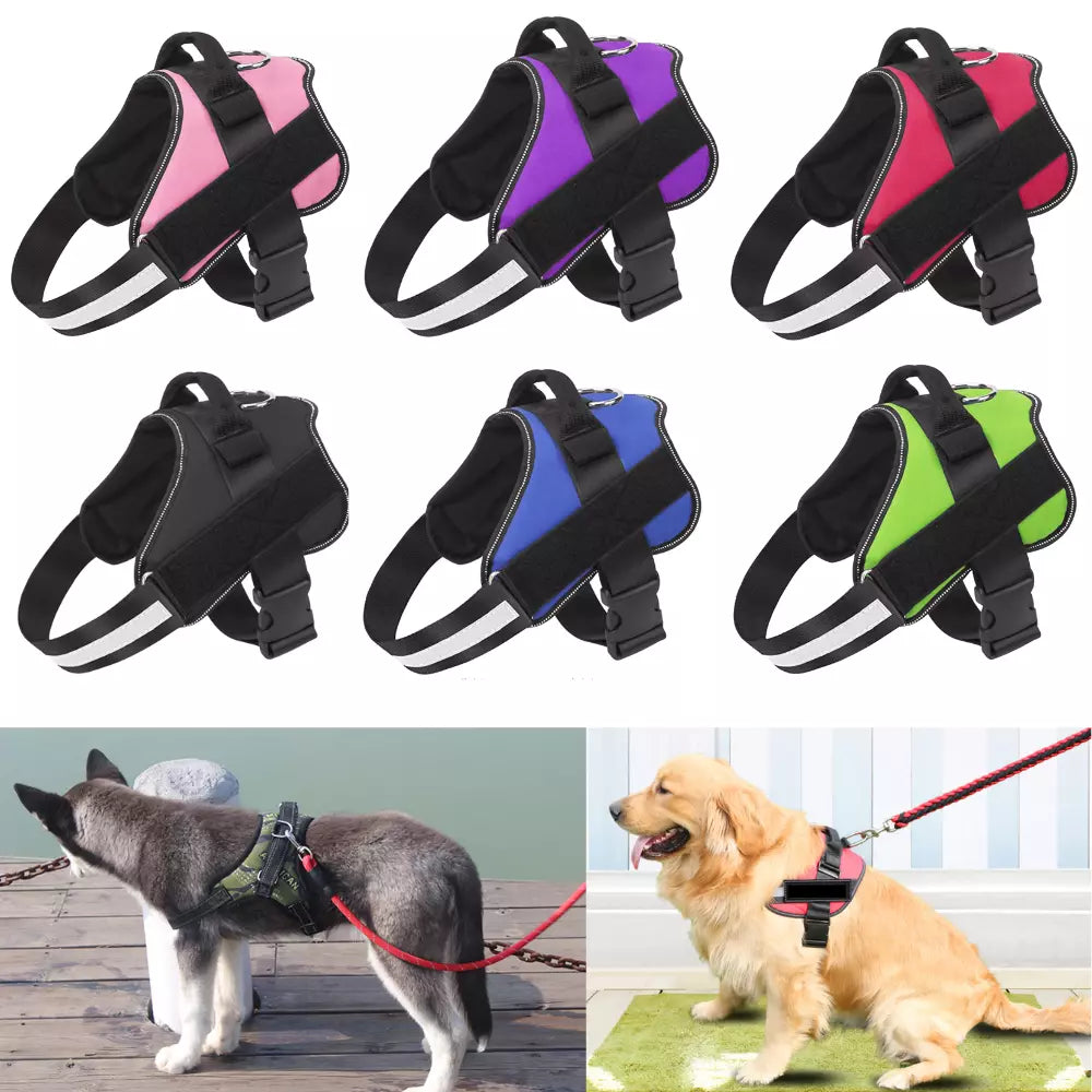 DogFri™ DogHarness: Ingen trekk Pustende Hundesele