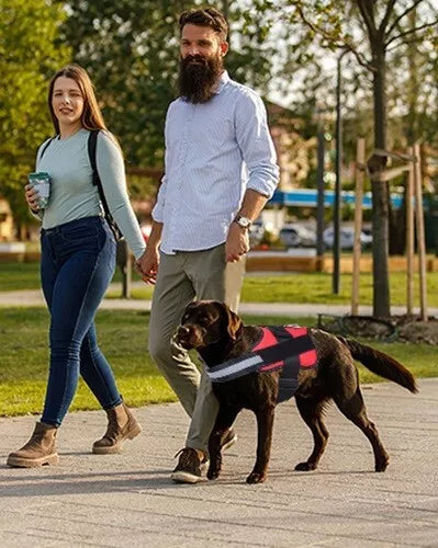 DogFri™ DogHarness: Ingen trekk Pustende Hundesele