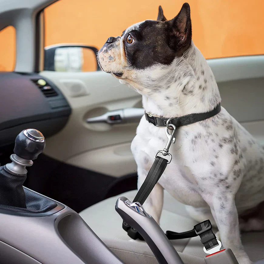 DogFri™ PawGuard 1+1 GRATIS: Hund Bil Setebelte