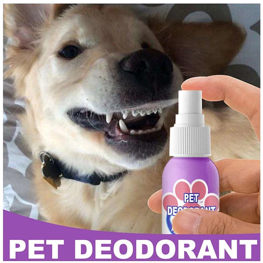DogCatFri™ PetSpray: Kjæledyr Åndedrettsfrisker Spray