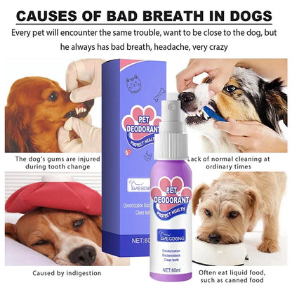 DogCatFri™ PetSpray: Kjæledyr Åndedrettsfrisker Spray