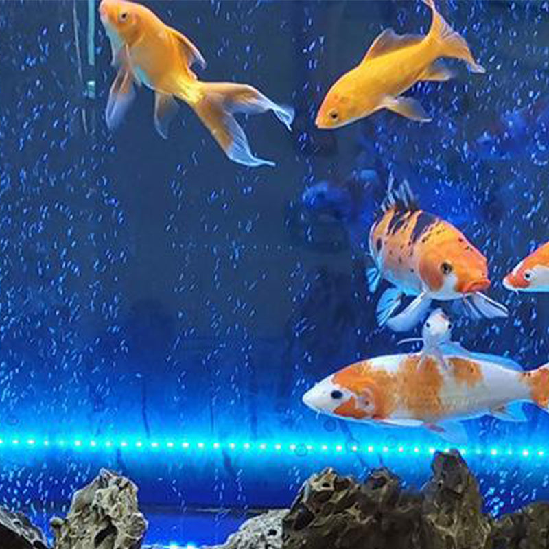Ledsen™ GlowBubble: Fargerikt LED-boblelys for akvarium