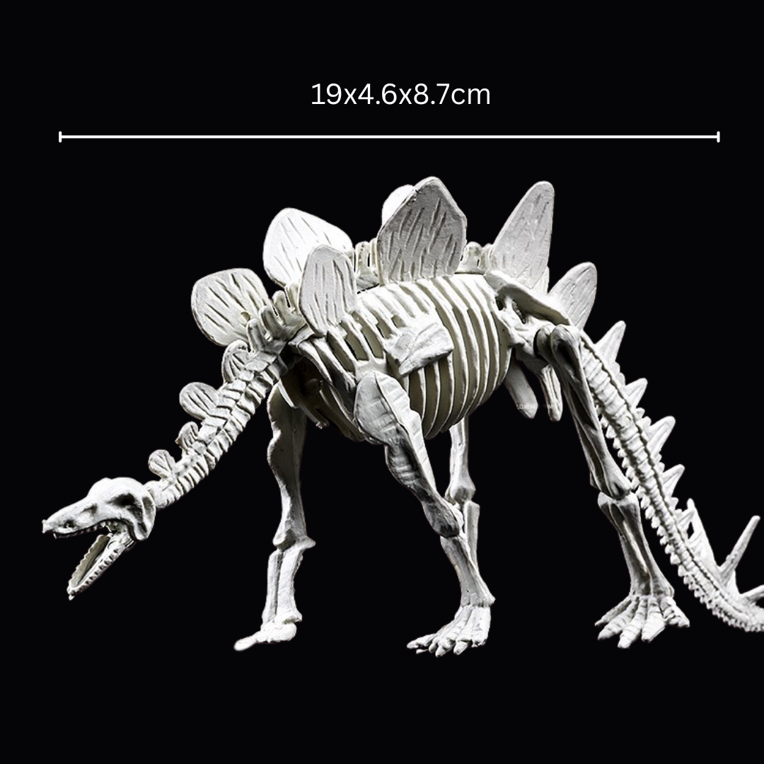 Kletshuts™ SkeletonDinosaur: Pedagogisk Skjelett Dinosaur Fossil Gravesett