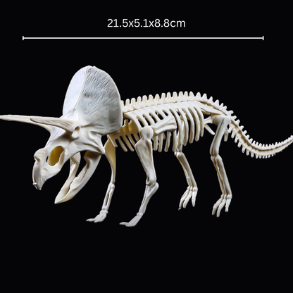Kletshuts™ SkeletonDinosaur: Pedagogisk Skjelett Dinosaur Fossil Gravesett