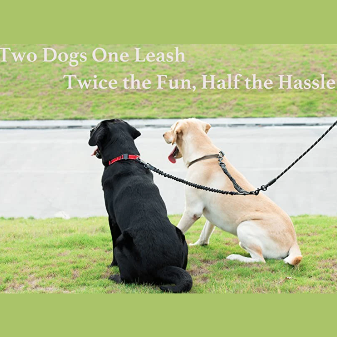 DogFri™ DogLeash: Flokefri 360° Roterbar Dobbel Tur Hundesnor